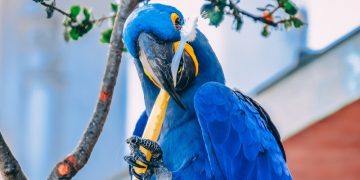 Многие делают это неправильно: когда чистить зубы — до завтрака или после? Ответ