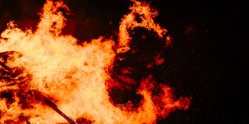 Алжир инициировал национальную кампанию по предотвращению лесных пожаров