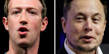 Назван фаворит в бое Маска и Цукерберга