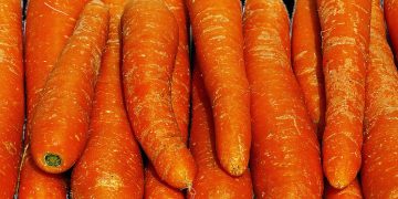 Составлен рейтинг длины мужских пенисов по странам мира