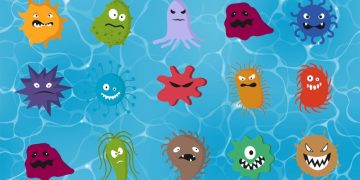 Тест на внимательность: только 5% людей проходят его за 10 секунд. А вы справитесь?