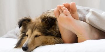 Ученые выяснили, как продолжительность сна подростков влияет на их желание смотреть фильмы для взрослых