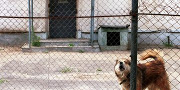 Минфин предложил закрыть 57 колоний из-за ненужных трат