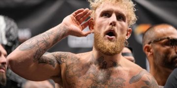 Блогер победил экс-чемпиона UFC в боксерском поединке
