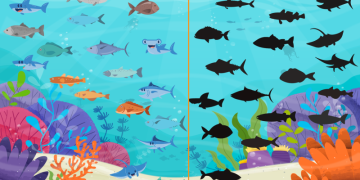 Найдите рыбу без тени: справятся только люди со 100% зрением
