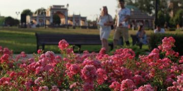 В «Царицыне» пройдет фестиваль исторических садов