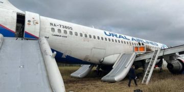 Очевидец рассказал о действиях бортпроводников севшего в пшеничном поле самолета
