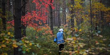 Пропавшую старушку нашли мертвой после поездки в «грибной тур» под Воронежем