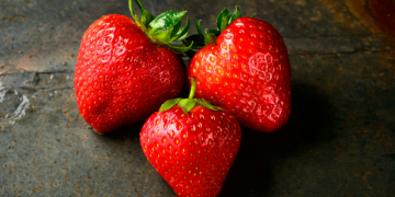 Названа ягода, снижающая риск болезни Альцгеймера