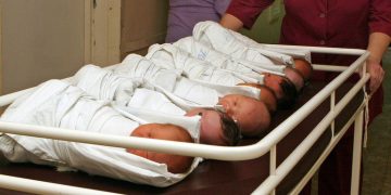 «Принудительное искусственное осеменение женщин»: борьба за демографию дошла до психоза