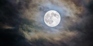 Вредно ли ложиться спать после полуночи? Вот что говорят ученые