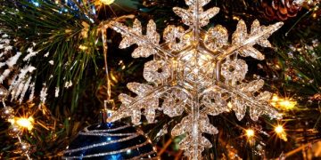 Как организовать правдник на Новый год с участием звезд