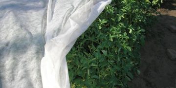 Защита грядок с помощью укрывного материала: как он может помочь защитить и улучшить урожайность