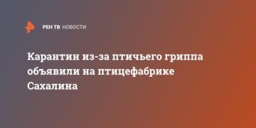 Карантин из-за птичьего гриппа объявили на птицефабрике Сахалина