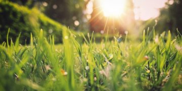 Психолог рассказала, с чего начать весенние перемены в жизни