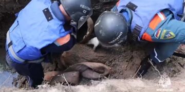 Четыре авиабомбы времен ВОВ обнаружили в Калининградской области