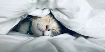 Невролог рассказала о вреде сна в жару