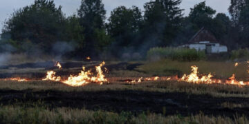 «Нужно воспитывать, а не наказывать»: в Бурятии запретили ходить в лес