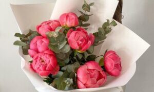 Пионы – воплощение роскоши и изящества в цветочных композициях