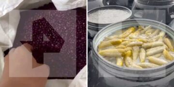 Кадры с места производства фасоли для салатов, вызвавших массовое отравление