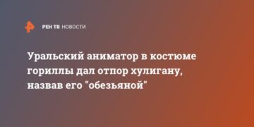 Уральский аниматор в костюме гориллы дал отпор хулигану, назвав его «обезьяной»