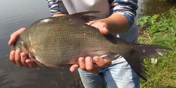 Завершился Чемпионат по рыбной ловле на Кубок «Московских сезонов»