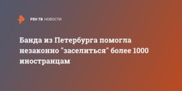 Банда из Петербурга помогла незаконно «заселиться» более 1000 иностранцам