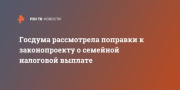 Госдума одобрила поправки к законопроекту о семейной налоговой выплате
