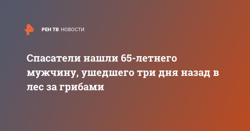 Спасатели нашли 65-летнего мужчину, ушедшего три дня назад в лес за грибами