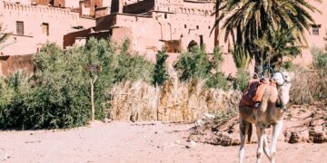 Оформление визы в Королевство Саудовская Аравия: Ваш путеводитель по процессу