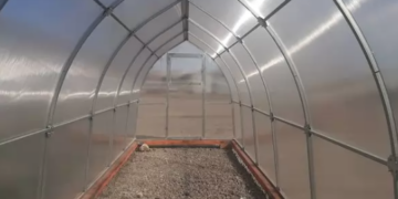 Преимущества теплиц из поликарбоната: идеальное решение для дачи