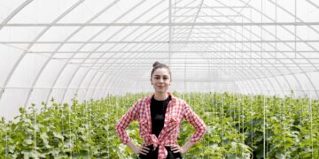 Теплицы из поликарбоната на заказ: идеальное решение для комфортного выращивания круглый год